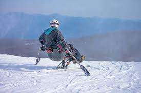 A person in a sit-ski prepares to go down a ski slope.