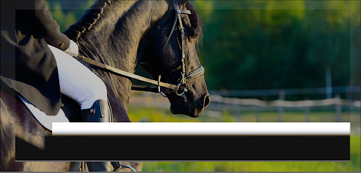 A person rides on the back of a black horse.